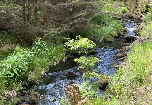 22-05-29 13-00-52 0971